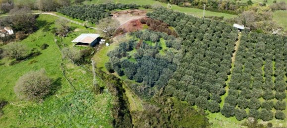 Земельный участок 167000м² в Морлупо, Италия № 54474 12