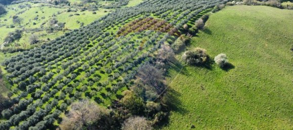 Земельный участок 167000м² в Морлупо, Италия № 54474 10