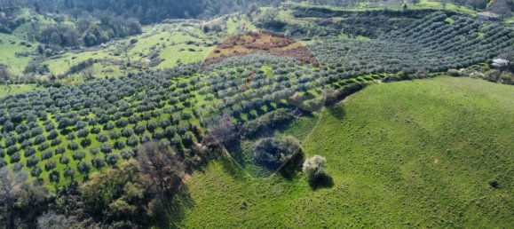 Земельный участок 167000м² в Морлупо, Италия № 54474 11