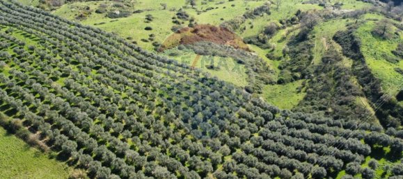 Земельный участок 167000м² в Морлупо, Италия № 54474 13