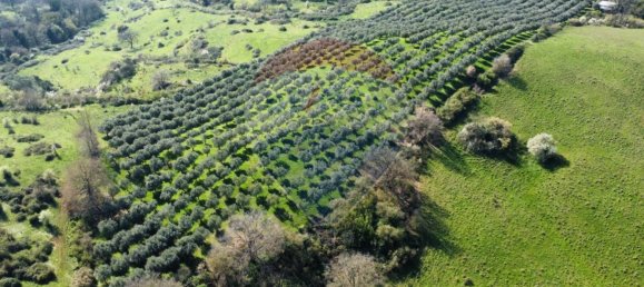 Земельный участок 167000м² в Морлупо, Италия № 54474 9