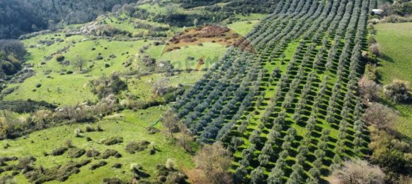 Земельный участок 167000м² в Морлупо, Италия № 54474 3