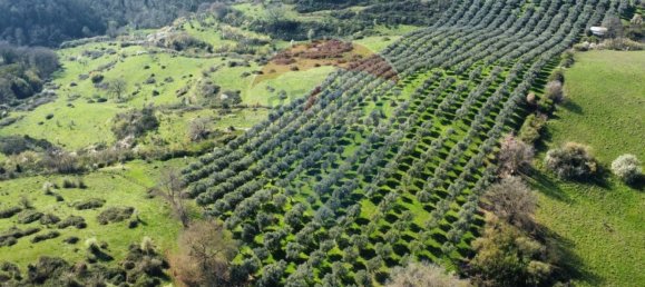 Земельный участок 167000м² в Морлупо, Италия № 54474 8