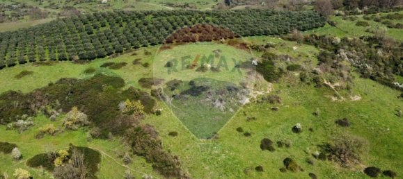 Земельный участок 167000м² в Морлупо, Италия № 54474 4