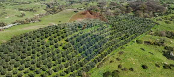 Земельный участок 167000м² в Морлупо, Италия № 54474 2