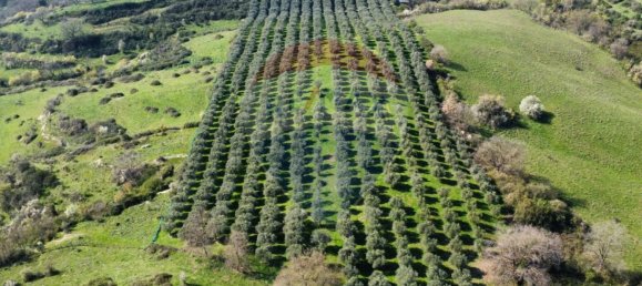 Земельный участок 167000м² в Морлупо, Италия № 54474 7