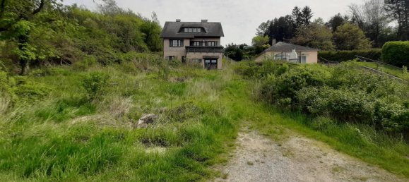 Terrain à Harmannsdorf, Austria No. 16703 4