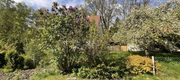 6-salle Maison à Celle, Germany No. 185995 19