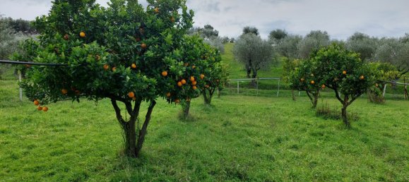 Terreno en Crotone, Italy 35000 m² No. 140493 13