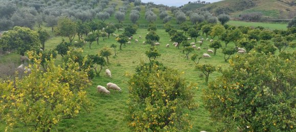 Terreno en Crotone, Italy 35000 m² No. 140493 2