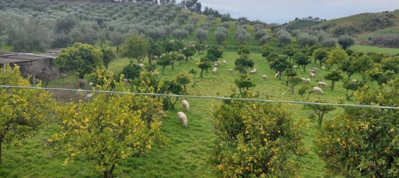 Terreno en Crotone, Italy 35000 m² No. 140493 7