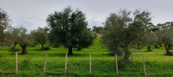 Terreno en Crotone, Italy 35000 m² No. 140493 14
