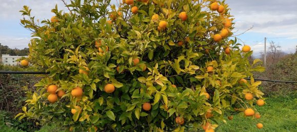 Terreno en Crotone, Italy 35000 m² No. 140493 5