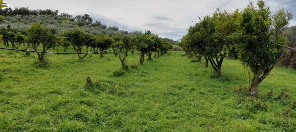 Terreno en Crotone, Italy 35000 m² No. 140493 11