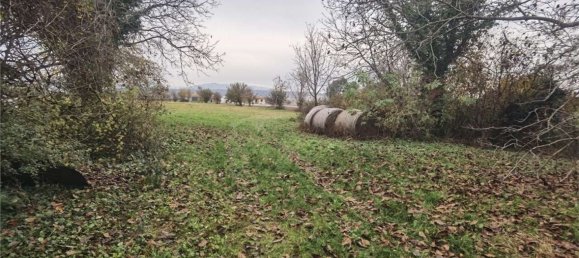 3 bedrooms House in Trevignano, Italy No. 363931 5