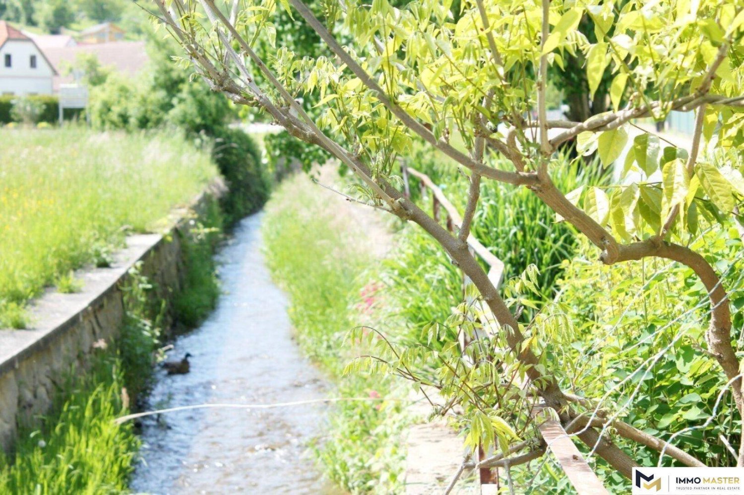 Terrain à Mariasdorf, Austria 12800m² No. 199426