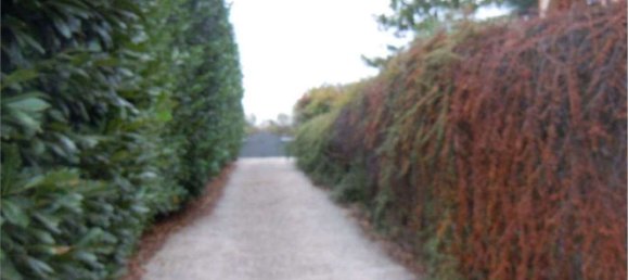 22 rooms House in Castelnuovo di Porto, Italy No. 14569 46