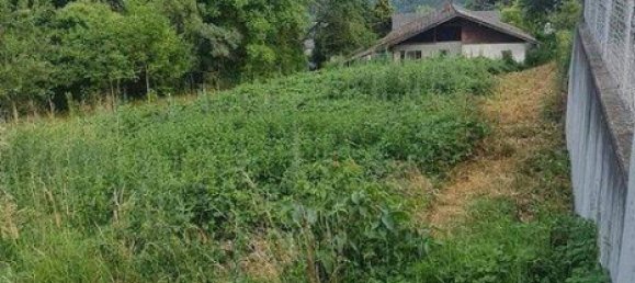 Terreno em Klosterneuburg, Austria N.º 246014 4