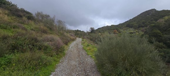  Land in Benahavis, Spain No. 137530 6