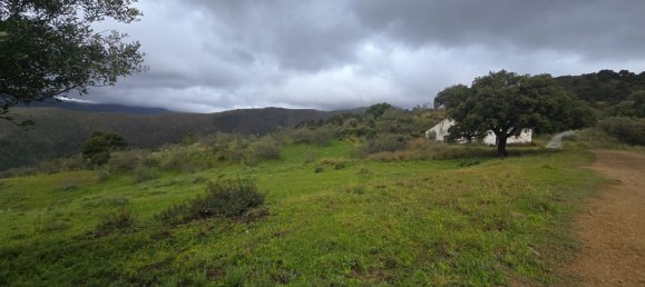  Land in Benahavis, Spain No. 137530 9