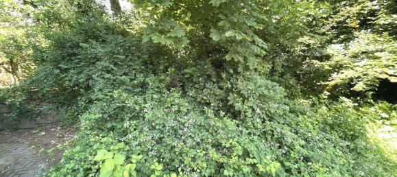 2-Zimmer Gebäude in Ennepe-Ruhr, Germany, Nr. 369724 14