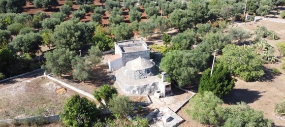 3-Zimmer Villa in Ostuni, Italy, Nr. 133966 6