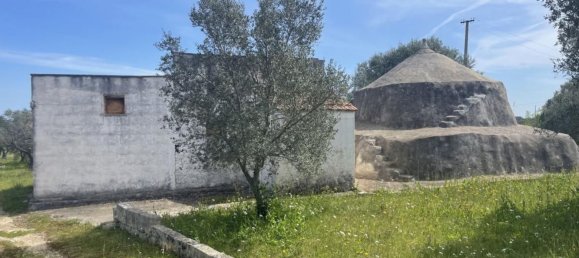 3-Zimmer Villa in Ostuni, Italy, Nr. 133966 12