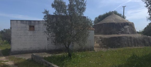3-Zimmer Villa in Ostuni, Italy, Nr. 133966 25