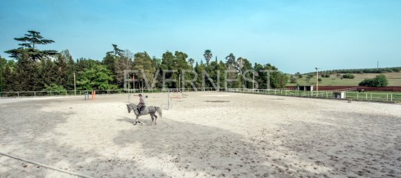 8 bedrooms Castles in Elvas, Portugal No. 103768 19