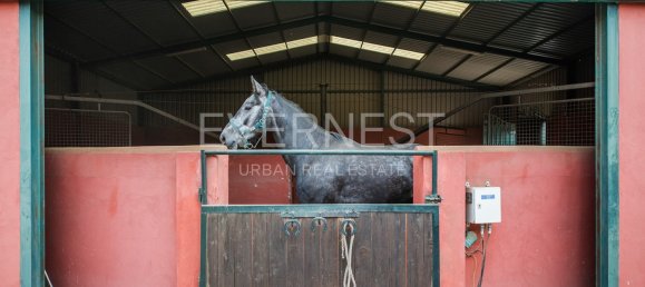 8 bedrooms Castles in Elvas, Portugal No. 103768 14