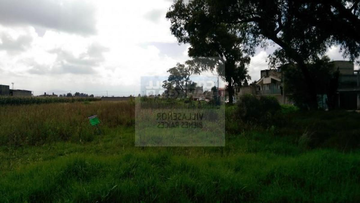 Terrain à Mexico No. 204897