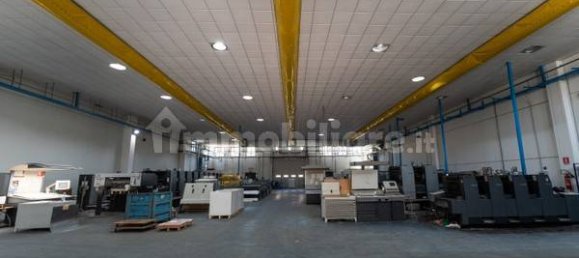  مستودع في Caraffa di Catanzaro, Italy 3784متر مربع رقم 292577 2