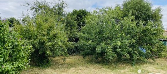 Дом с 3 спальнями в Мен и Луара, Франция № 277076 5