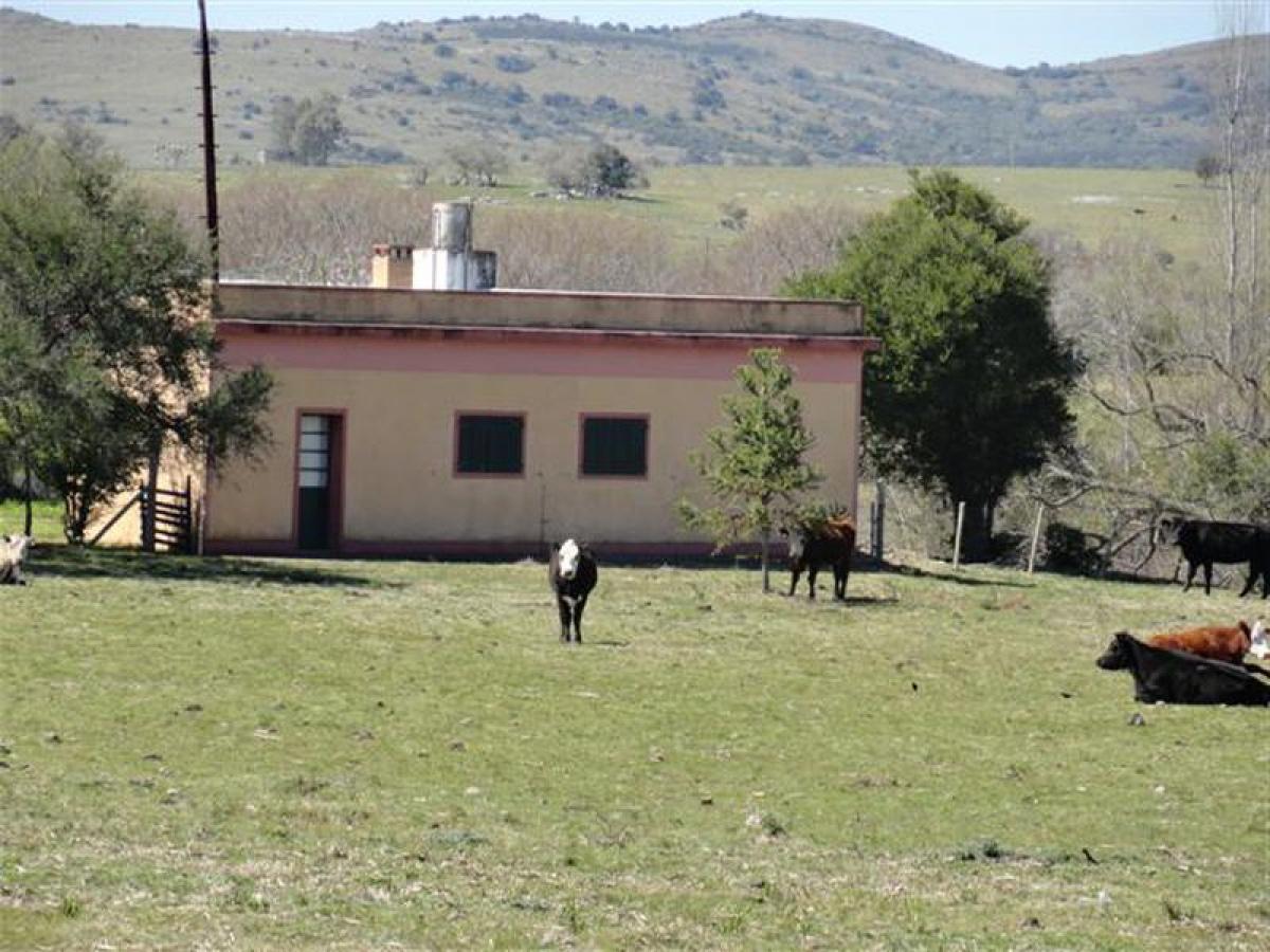 Bauernhof in Maldonado, Uruguay, Nr. 15033
