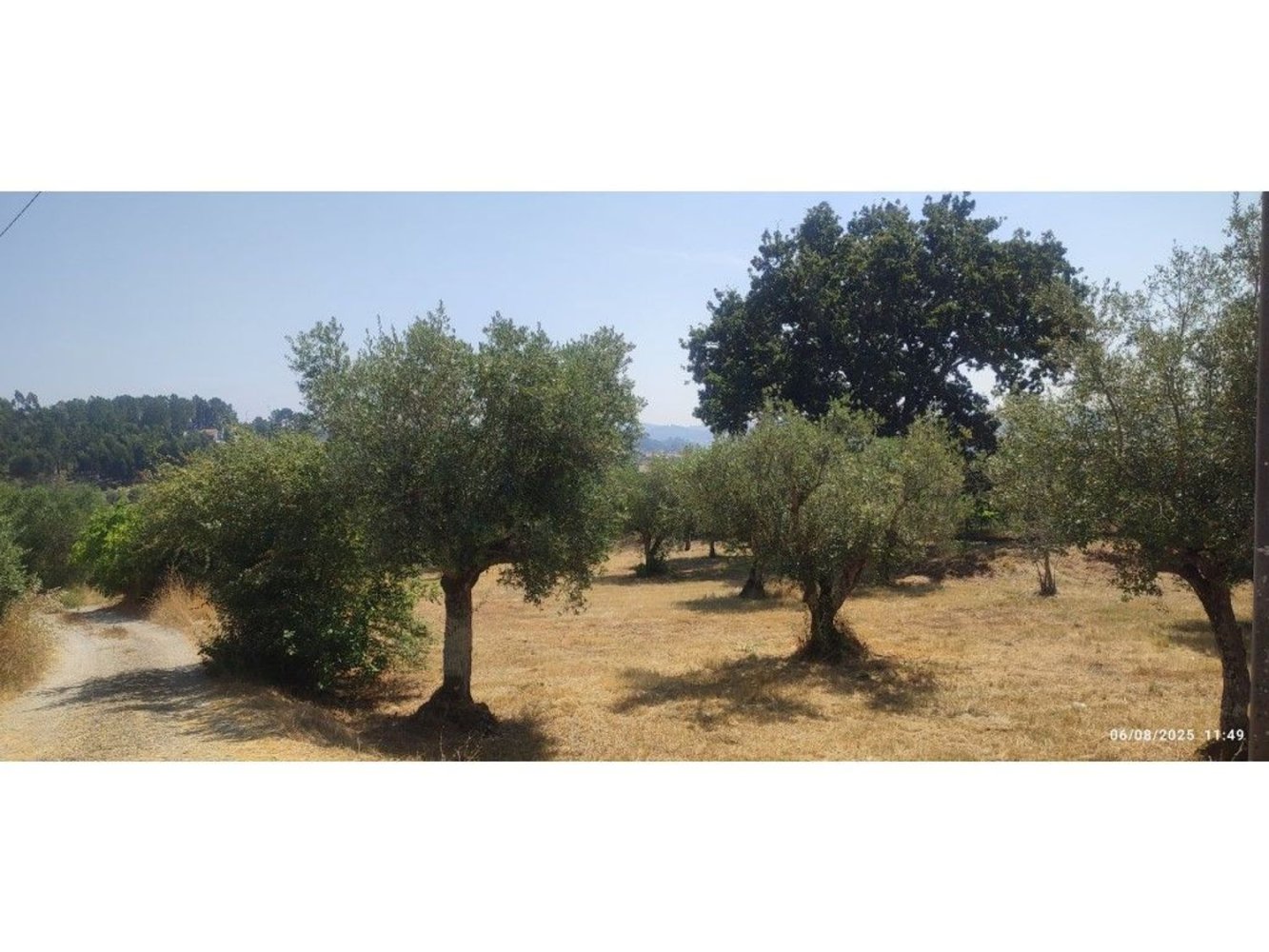  Land in Ourem, Portugal No. 287776