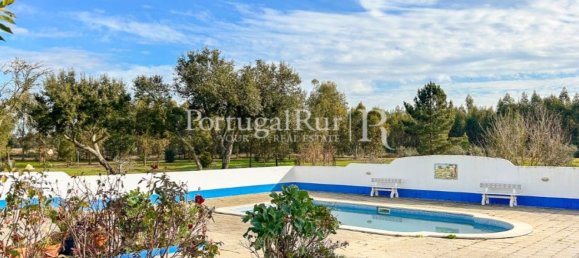 4 Schlafzimmer Haus in Santiago do Cacem, Portugal, Nr. 116593 29