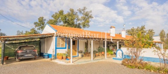 4 Schlafzimmer Haus in Santiago do Cacem, Portugal, Nr. 116593 32