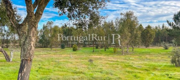 4 Schlafzimmer Haus in Santiago do Cacem, Portugal, Nr. 116593 39