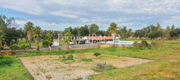 4 Schlafzimmer Haus in Santiago do Cacem, Portugal, Nr. 116593 7