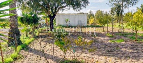 4 Schlafzimmer Haus in Santiago do Cacem, Portugal, Nr. 116593 38