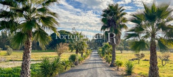 4 Schlafzimmer Haus in Santiago do Cacem, Portugal, Nr. 116593 33