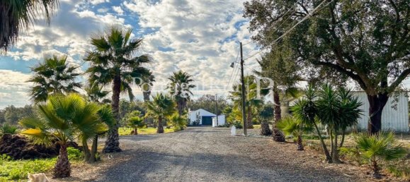 4 Schlafzimmer Haus in Santiago do Cacem, Portugal, Nr. 116593 35