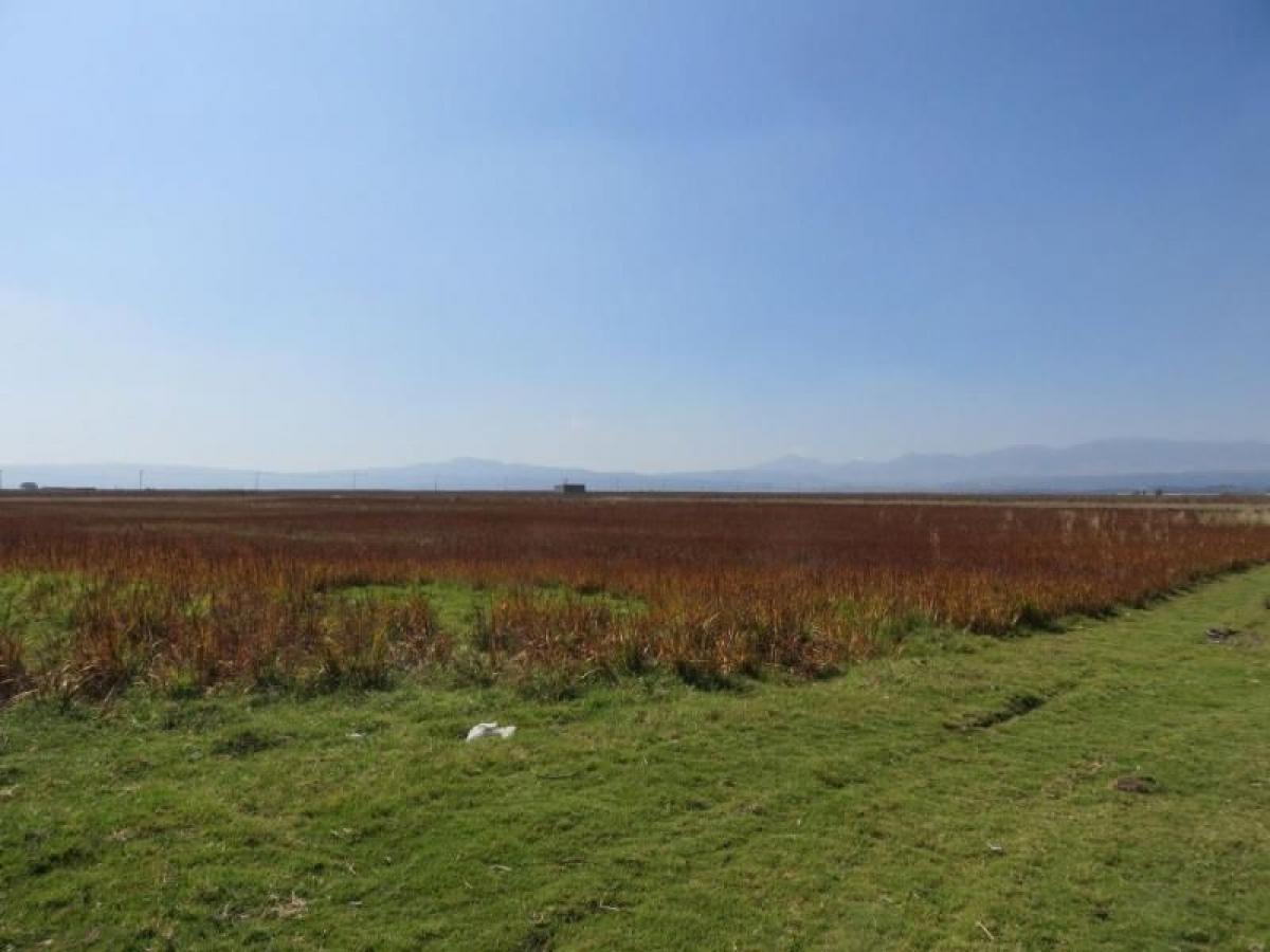  Land in Mexico No. 206752