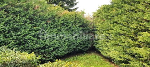 2 bedrooms Villa in Cassano delle Murge, Italy No. 353198 27