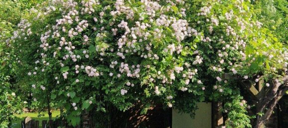 Дом с 4 комнатами в Лизинг, Австрия № 261811 8