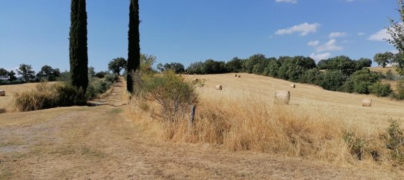 5 rooms House in Manciano, Italy No. 152885 10