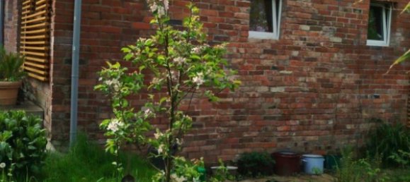 8 rooms Townhouse in Wolfenbuttel, Germany No. 217778 18