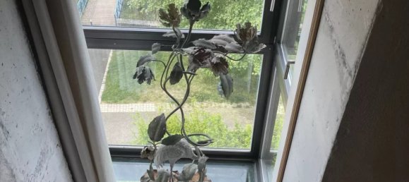 6 bedrooms House in Nancy, France No. 59279 11