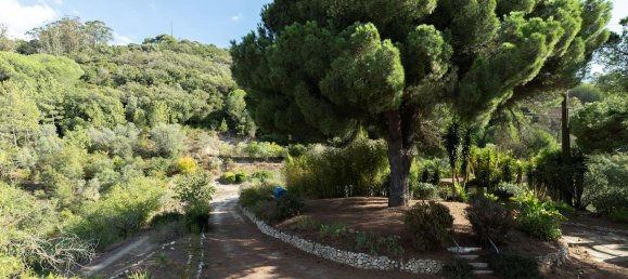 14 bedrooms House in Palmela, Portugal No. 140270 33