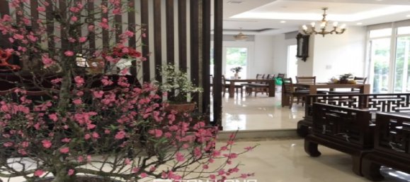 5 Schlafzimmer Villa in Long Bien, Vietnam, Nr. 981 16